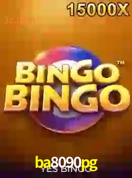 bingobingo